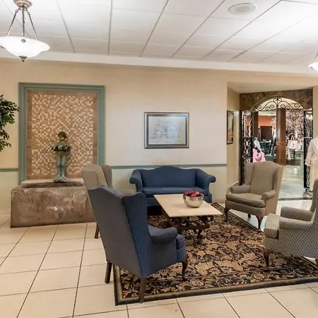 Vinifera Inn-3